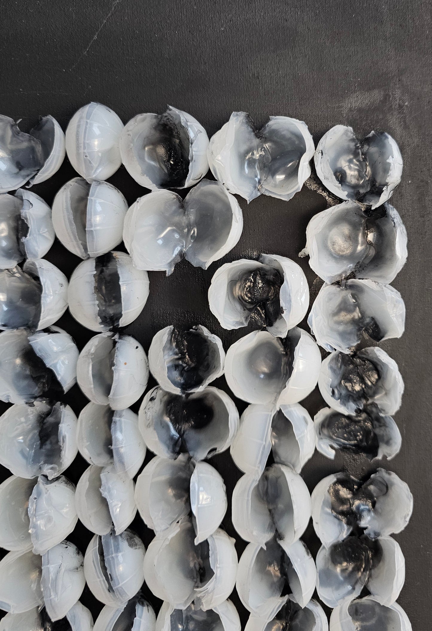 AAAE Black Shells